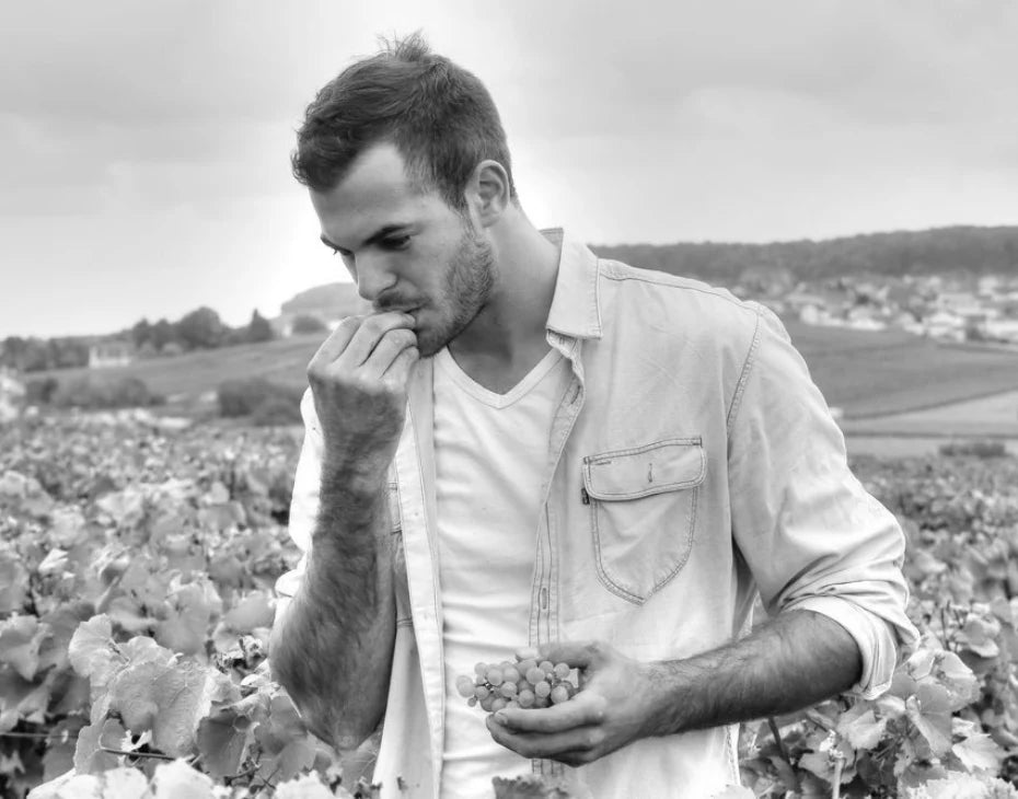 Champagne Dhondt-Grellet